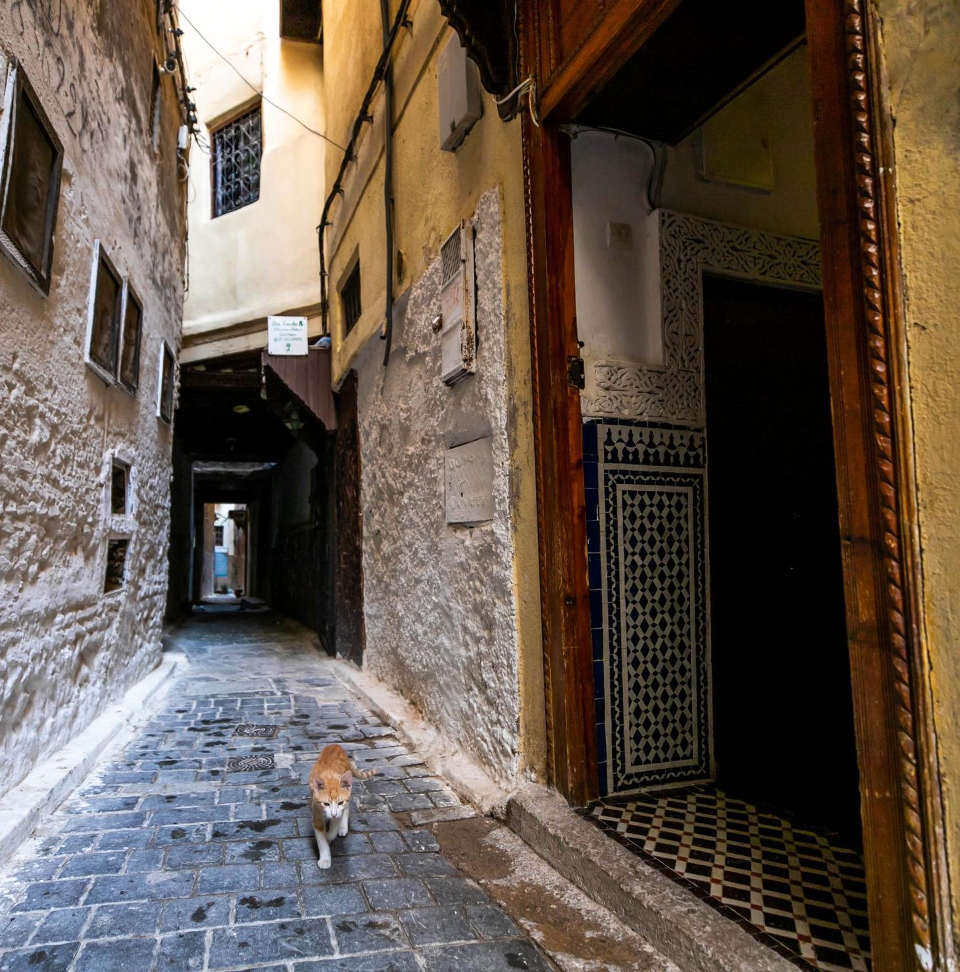 Riad Dar Omar Fès Dış mekan fotoğraf